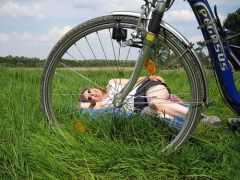 Fahrrad auf einer Wiese