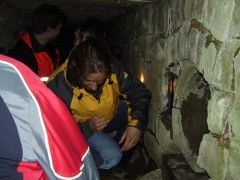 Nachtcache im Rudel
